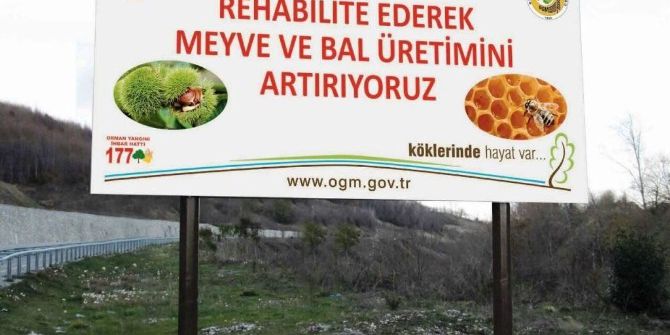 Zonguldak Ve Bartın’da Kestane Kanserine Karşı Mücadele Sürüyor