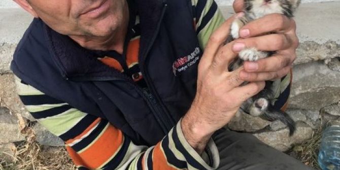 Sorgun’da Kedi Yavrularına İtfaiye Ekipleri Sahip Çıtı