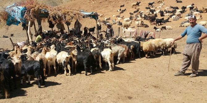 Yaylacıların Geri Dönüşü Başladı