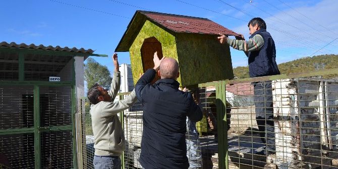 Bozüyük Belediyesi Geçici Hayvan Bakımevi’ne Yeni Köpek Kulübeleri