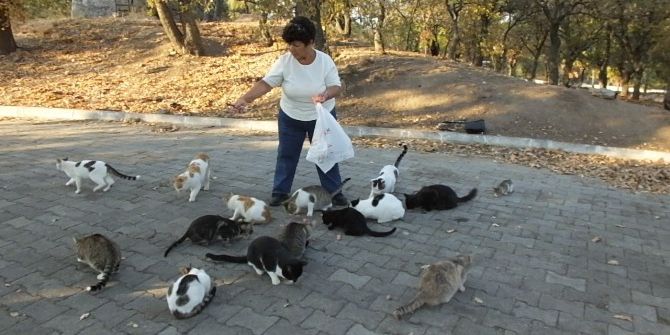 Emekli Hemşire Sokak Kedilerine Sahip Çıktı
