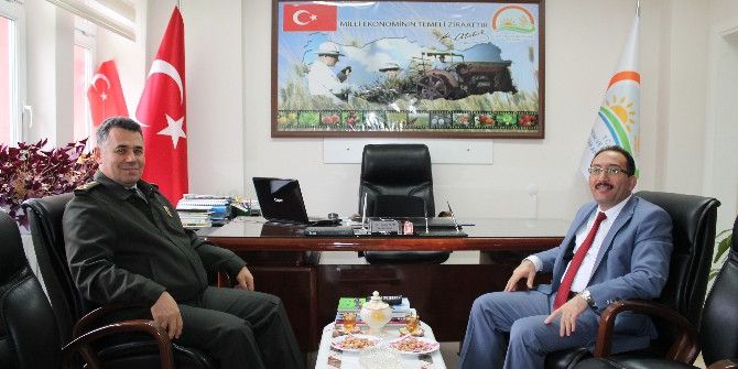 Bilecik Gıda Tarım Ve Hayvancılık Müdürü Yıldız’a İade-i Ziyaretler