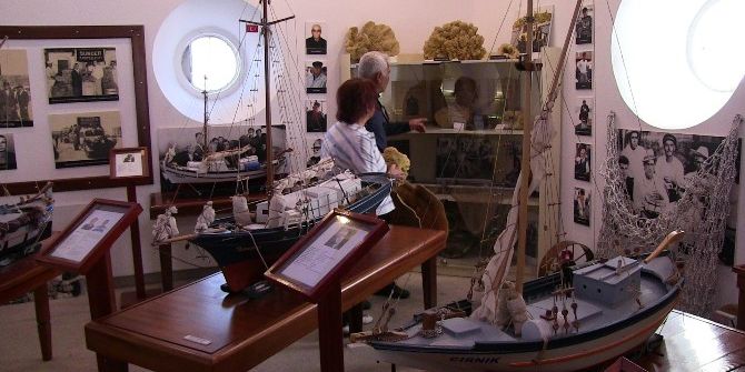 Son Süngerci, Sünger Avına Devam Ediyor