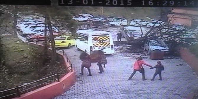 Ağacın Okulun Yanına Devrilme Anı Güvenlik Kamerasında