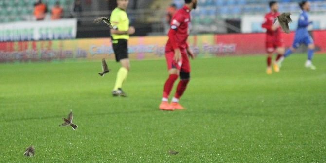 Ziraat Türkiye Kupası 3. Eleme Turu