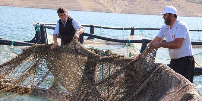Denizi Olmayan Şehirden Kıtalar Arası Balık İhracatı