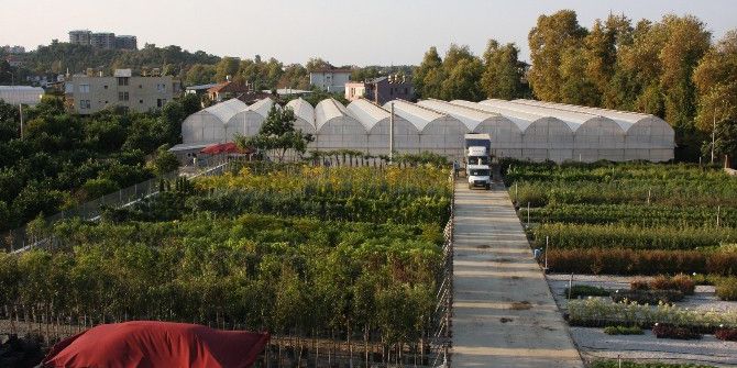 Alanya Mevsimlik Çiçeklerle Donatılıyor