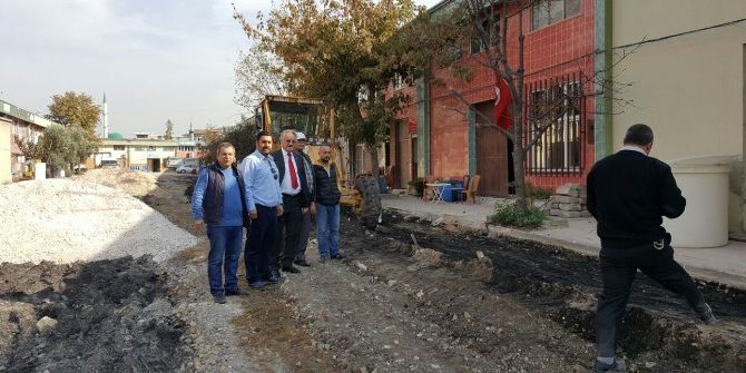 Gemlik Zeytin Hali’ne Makyaj