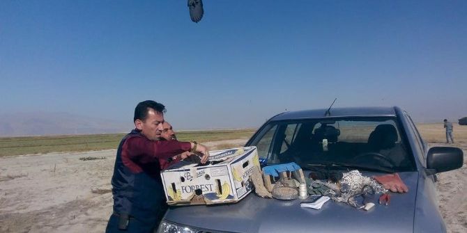 Tuzakçı Avcılar Yakalandı