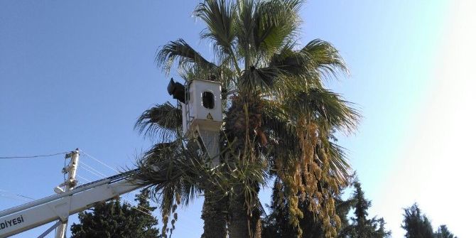 Kışlanın Kışlık Bakımları Tamamlandı