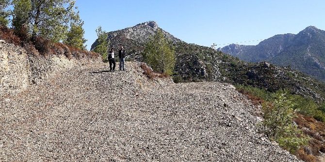 Datça’da Ormandan Arıcılara Konaklama Yeri