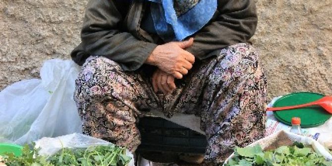 Kazdağlarıı’nın Yabani Otları Şifa Kaynağı