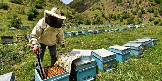 Fotoğraf Sanatçısı Olcay’dan Bir Başarı Daha