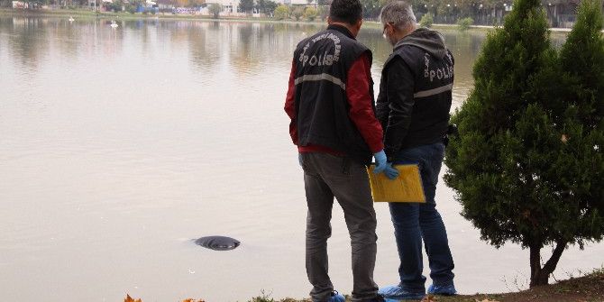 Restoran Bekçisi Gölde Ölü Bulundu