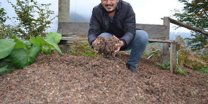 Fındık Kapsülü Enerji Deposu