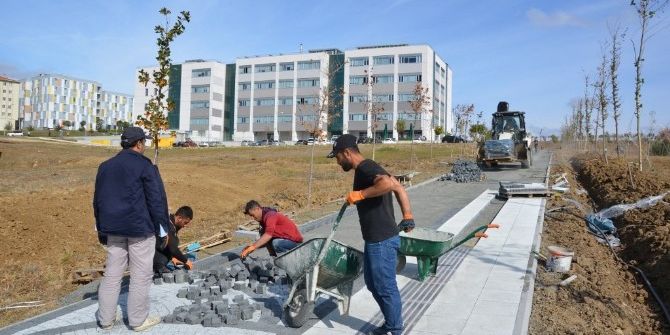 Nkü Kampüs Giriş Kapısı Peyzaj Çalışması Ve Yol Düzenlemeleri Tüm Hızıyla Devam Ediyor