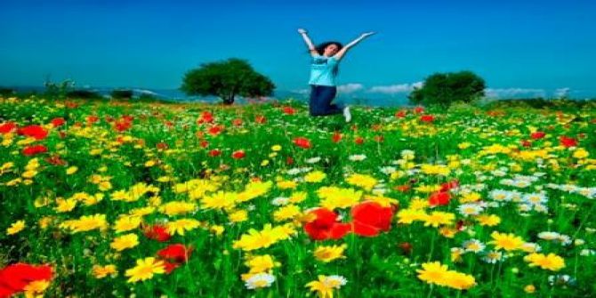 Fotoğraf Yarışmasının Sahipleri Belli Oldu