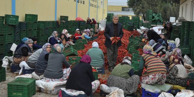 Kulaca’dan Avrupa’ya Salça İhracatı Sürüyor