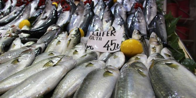 Lüfer Kırmızı Eti Solladı