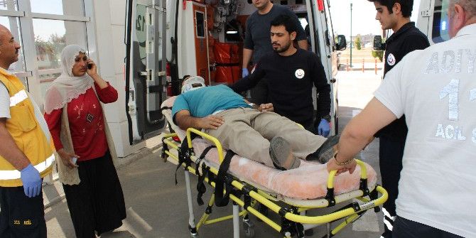 İncir Ağacından Düşen Adam Yaralandı