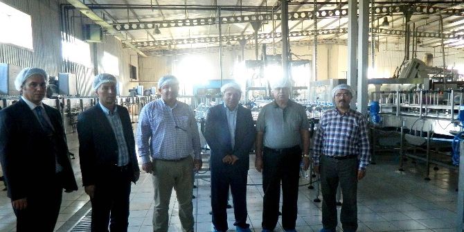 Kardelen Su, Üretim Kapasitesini Artırdı