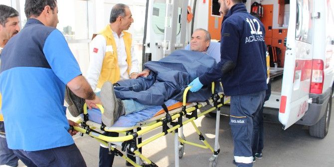 Ağaç Budarken Kolunu Kesti