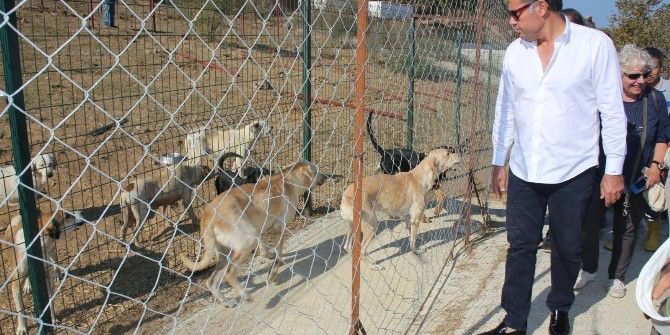 Başkan Kocadon, Alman Hayvanseverlerle Bakım Evini Ziyaret Etti