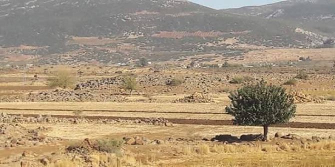 Hatay Sınırında Çatışma