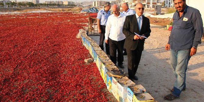 Haliliye Belediyesinden Gıda Güvenliği İçin Uyarı