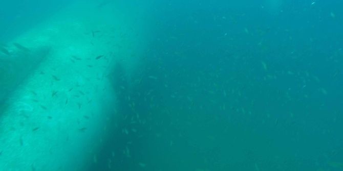 Kuşadası Körfezi’ndeki Airbus A300 Batığı 2 Yıl Boyunca İzlenecek