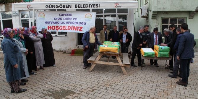 İtalyan Çimi Tohumu Dağıtımı Dumanlı’da Gerçekleştirildi
