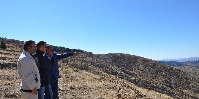 200 Bin Fidan Toprakla Buluşacak