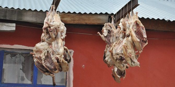 Kars’ta Kaz Kesimi Başladı