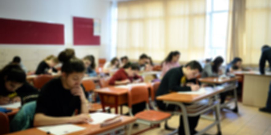 Anadolu Lisesi Taban Puanları