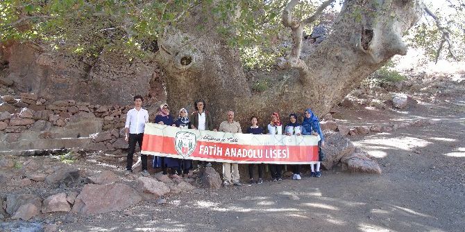 Öğrenciler Doğanlı Çınarını İnceledi