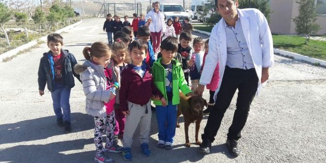 Mamaklı Miniklere Hayvan Sevgisi