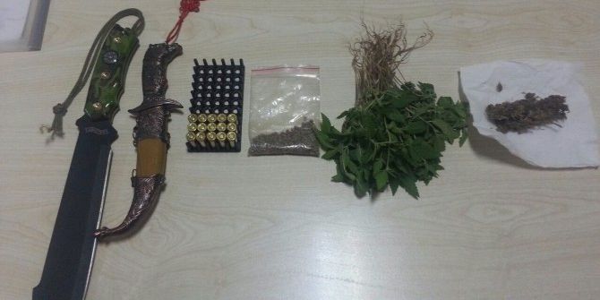 Manavgat’ta 150 Kök Hint Keneviri Ele Geçirildi