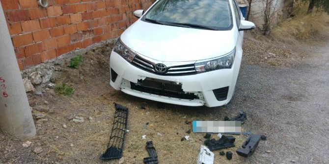 Köpekler Otomobili Paramparça Etti