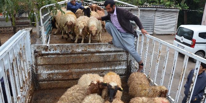 Genç Çiftçilere Hibe Desteği Devam Ediyor