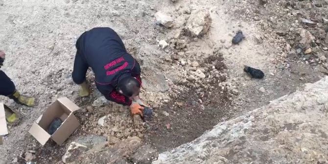 İnşaat Temeline Düşen 4 Yavru Köpek Kurtarıldı