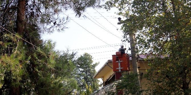 Kopan Elektrik Teli Mahalle Sakinlerini Korkuttu