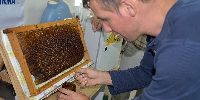 Üniversiteli Arıların Ürünleri Satışa Sunuldu