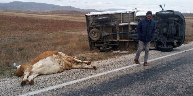 Kelkit’te Trafik Kazası: 2 Yaralı