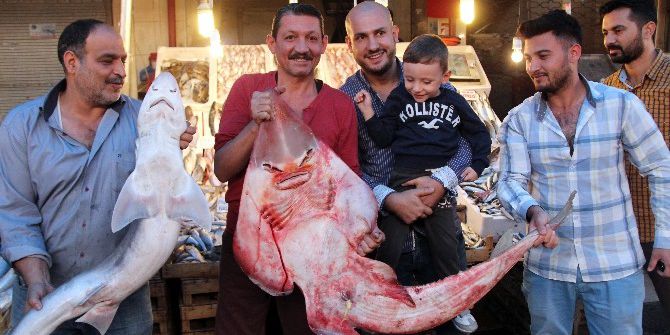 İnsan Yüzlü Balıklar Şaşırtıyor