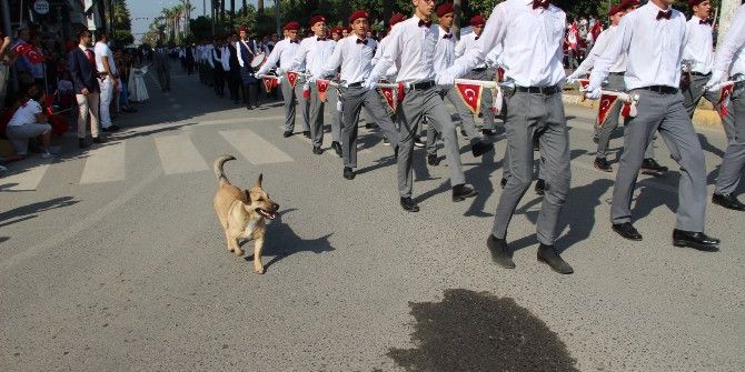 Tören Geçidinde Köpek Sürprizi