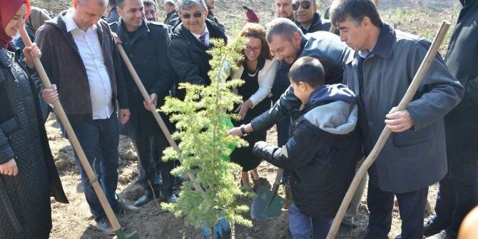 Çanakkale’de Ömer Halisdemir Hatıra Ormanı Oluşturuldu