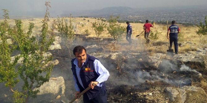 Ormanlık Alanda Yangın