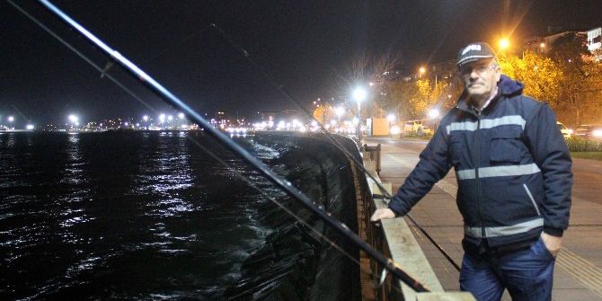 Soğuk Hava Hem Balıkları Hem De Keyifleri Kaçırdı