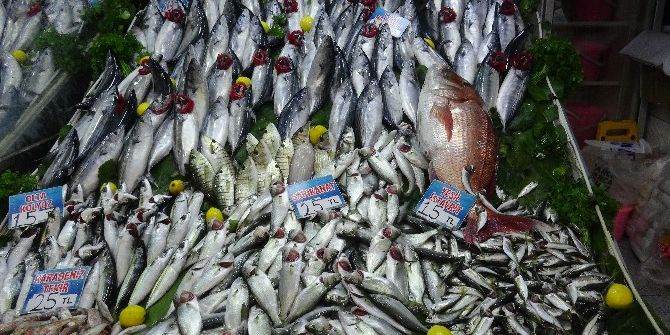 Oltayla 10 Kiloluk Mercan Balığı Yakaladı