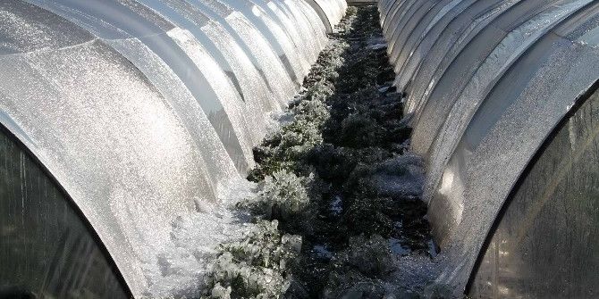 Meteorolojiden Zirai Don Ve Buzlanmaya Karşı Uyarı